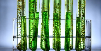 Aplikasi dari Fermentor Bioreaktor in Biofuel dan Energi Terbarukan